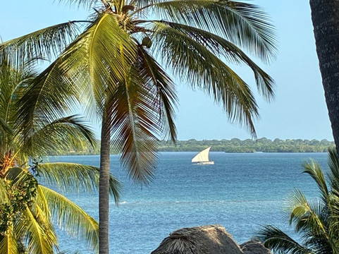 Pole Pole Bungalows主图