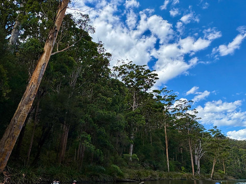 Wow Wilderness Ecoadventures-沃泊尔必去景点