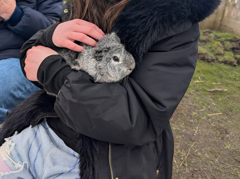 Holmes Chapel Zoo-Holmes Chapel必去景点