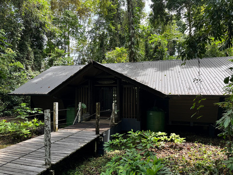 Borneo Eco Tours-亚庇必去景点