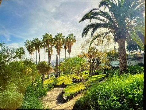 伊甸公园度假酒店-浴室