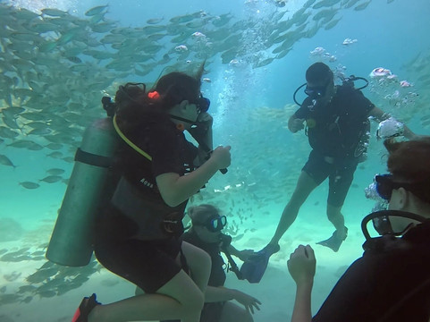 夏基潜水中心-卡伦必去景点