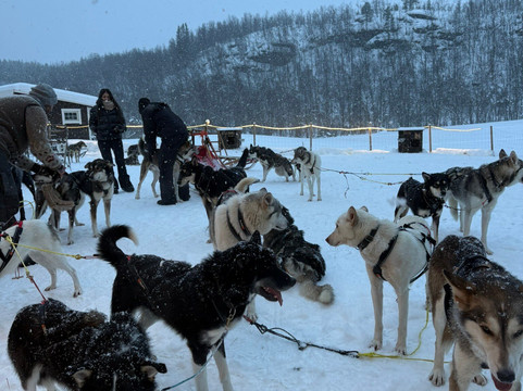 Into Nature-Meistervik必去景点