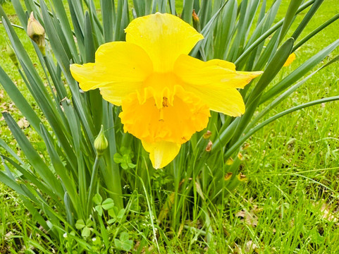 Skyline Wilderness Park-纳帕必去景点