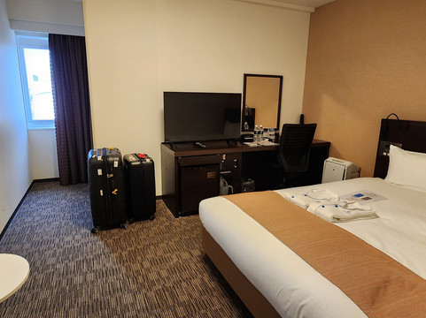 大和Roynet酒店-冈山站前主图