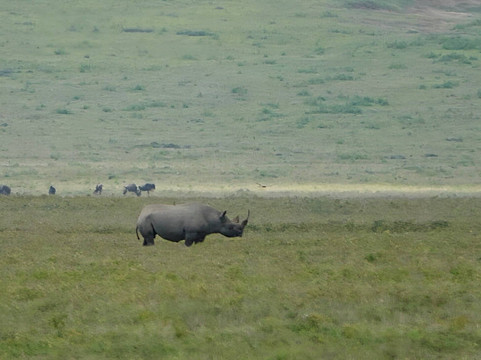 Ranger Safaris-阿鲁沙必去景点
