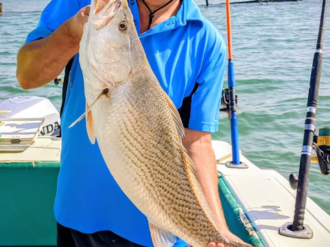 Paradise Fishing Gambia-班竹必去景点