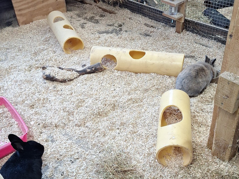 Small Breeds Farm Park-Kington必去景点