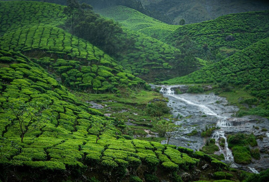 Munnar Holidays-慕那尔必去景点