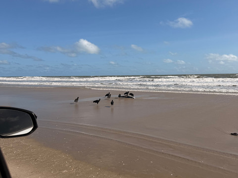 Bodin Transfer-巴雷里尼亚斯必去景点