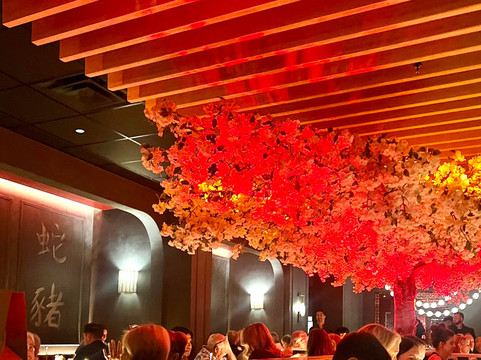 Blackbird Modern Asian