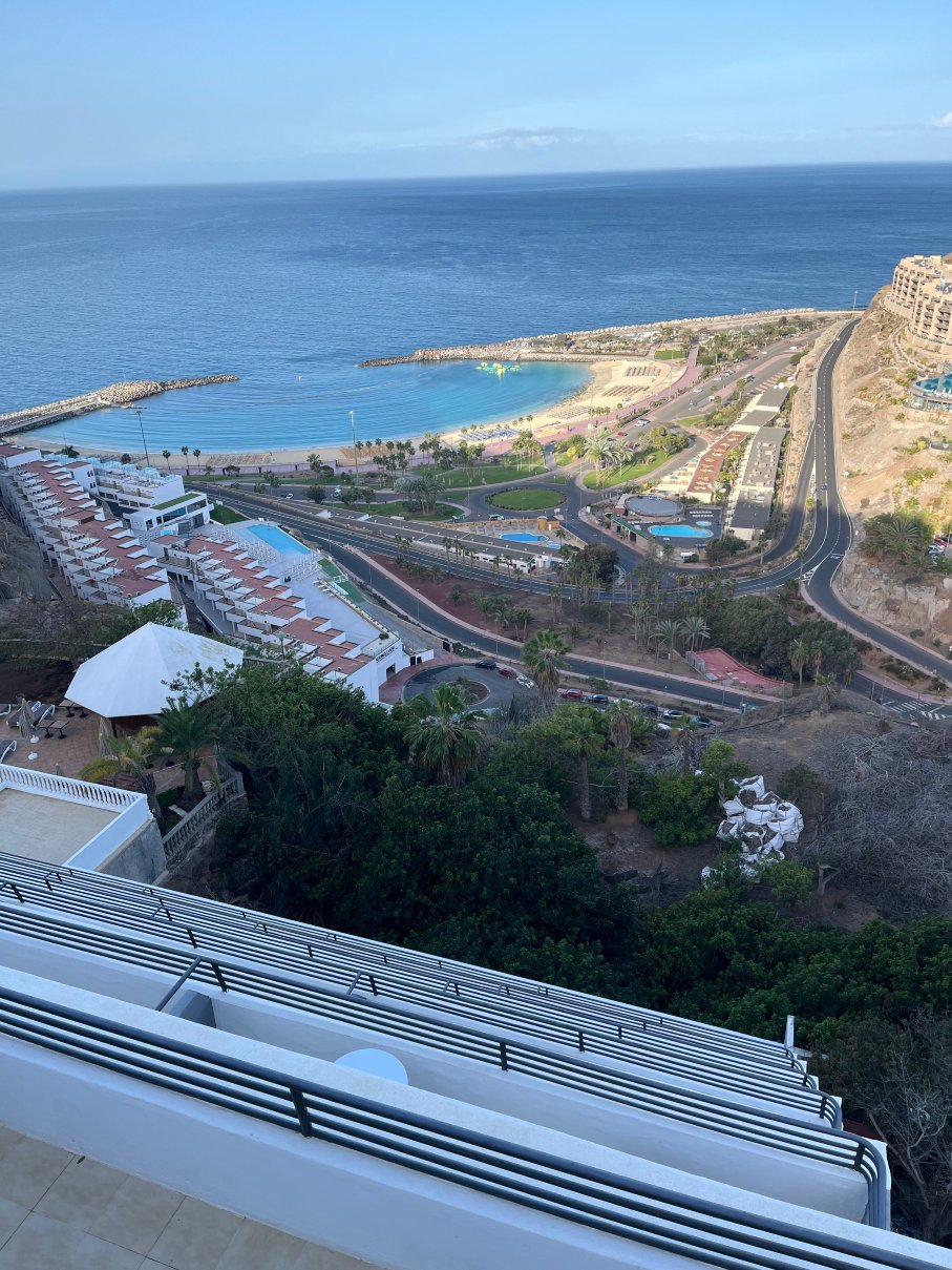 查图尔棕榈海酒店-官方