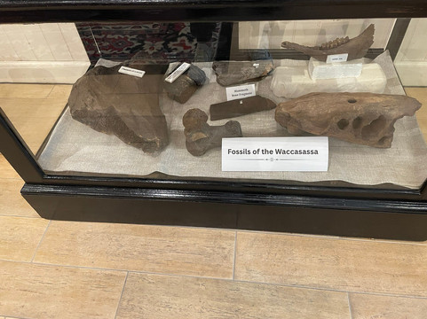 Cedar Key Historical Society Museum-锡达礁必去景点