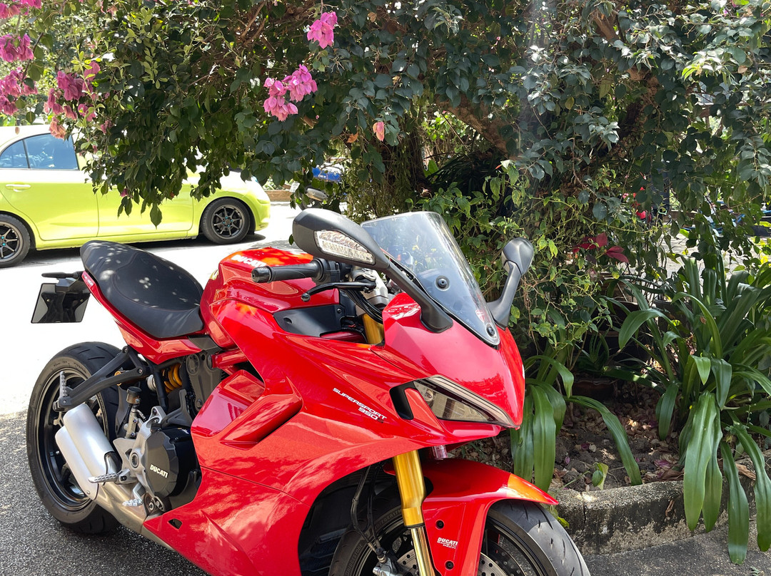 Customgarage-普吉镇必去景点