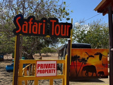 Curacao Ostrich Farm-库拉索必去景点