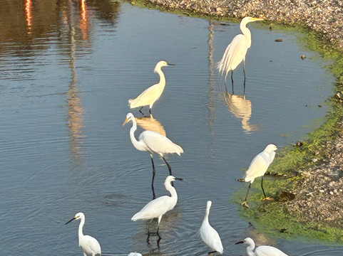 Kayak & Paddle Board Experiences in Barra de Potosi-Petatlan必去景点