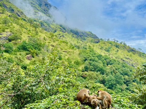 Wicky Tours Sri Lanka-尼甘布必去景点