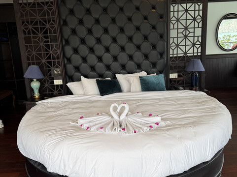 Erina Cruise-下龙湾必去景点