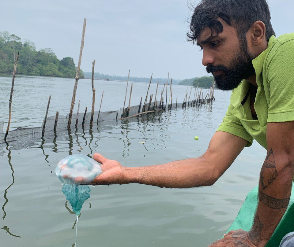Madu River Safari-巴拉碧提雅必去景点