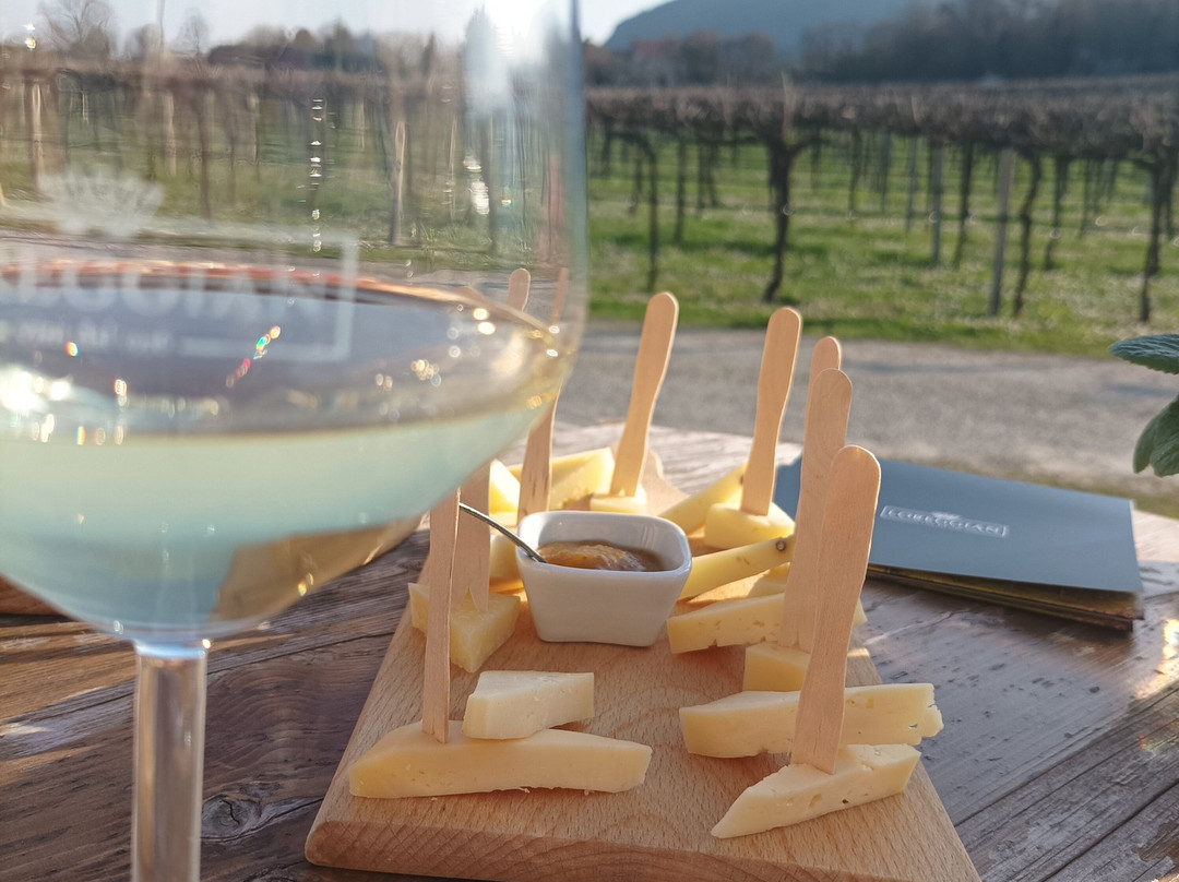 Azienda Agricola Loreggian-Arqua Petrarca必去景点