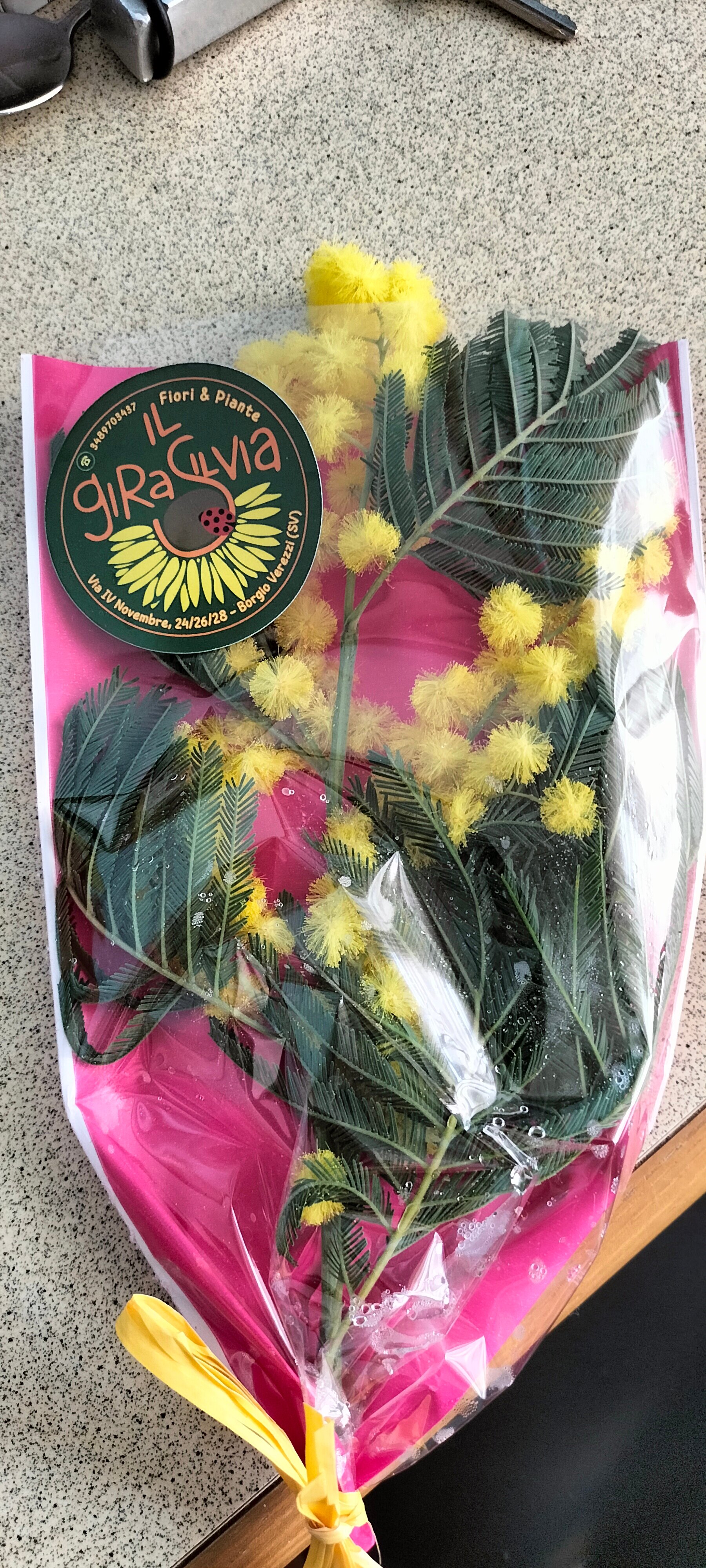 Nuovo Bristol  Pietra Ligure-官方