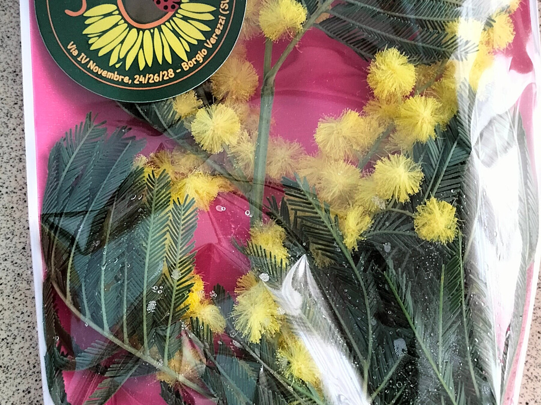 Nuovo Bristol  Pietra Ligure主图