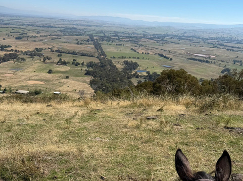 Watson's Mountain Country Trail Rides - Day Tours-曼斯菲尔德必去景点