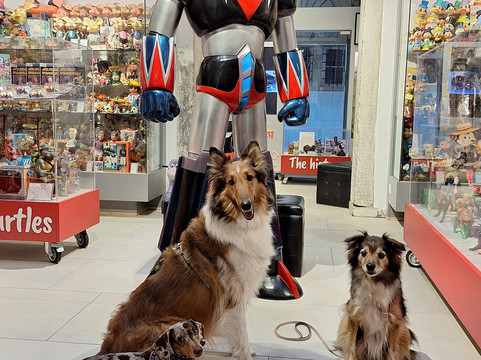 Creature Di Gomma - Venice Vintage Toys-威尼斯必去景点