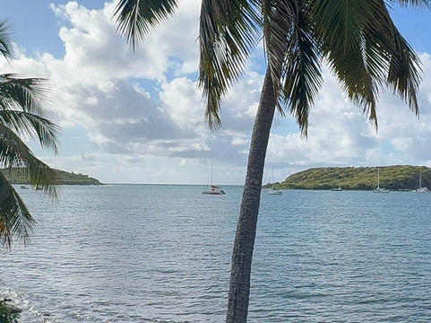 Vieques Island-维切克岛必去景点