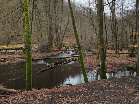 Soderasens National Park-斯科讷必去景点