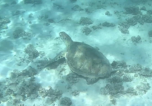 Karlos Excursions-莫纳山必去景点