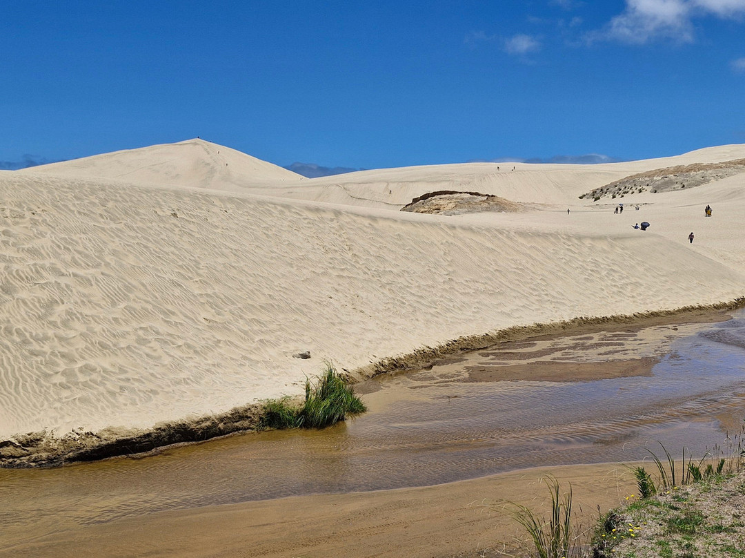 Mullarkey Tours-Kerikeri必去景点