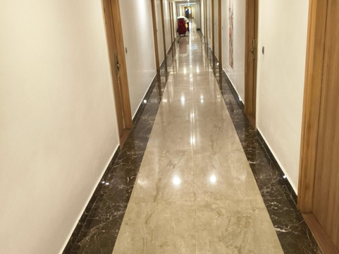 金郁金香提鲁帕提