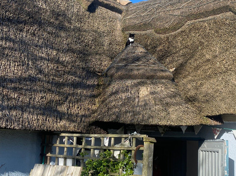 Kings Head Inn主图