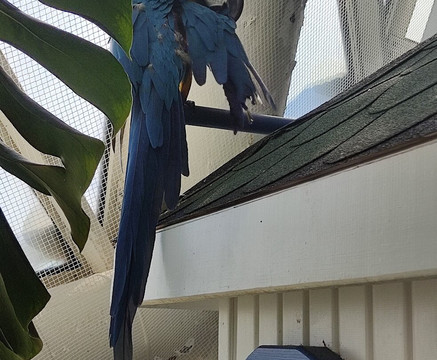 Konya Tropikal Kelebek Bahçesi-科尼亚必去景点