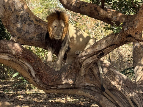 Happy Excursions Senegal-莫布瓦必去景点