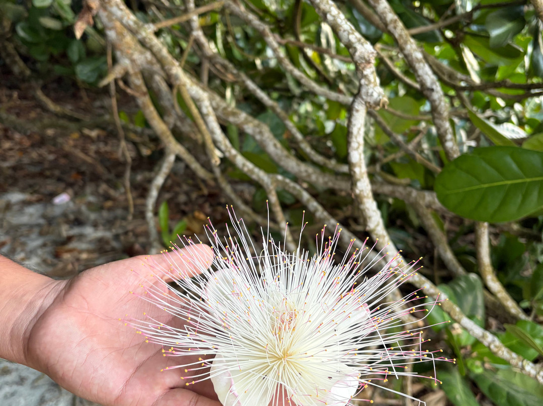 NomadicTribes | Andaman-Swaraj Dweep必去景点