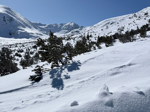 RilSki Ski & Snowboard School-波罗维兹必去景点