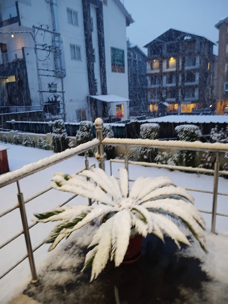 莫尼克水疗度假村-官方