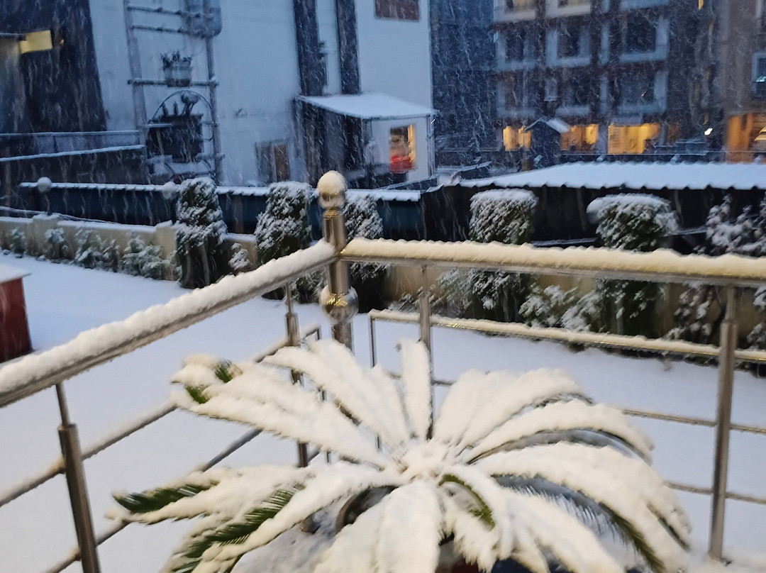 莫尼克水疗度假村主图