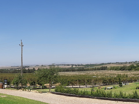 Ayama-Windmeul必去景点