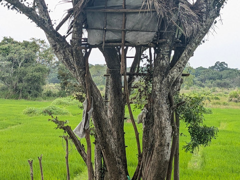 Ceylonicus Adventure-哈巴拉娜必去景点