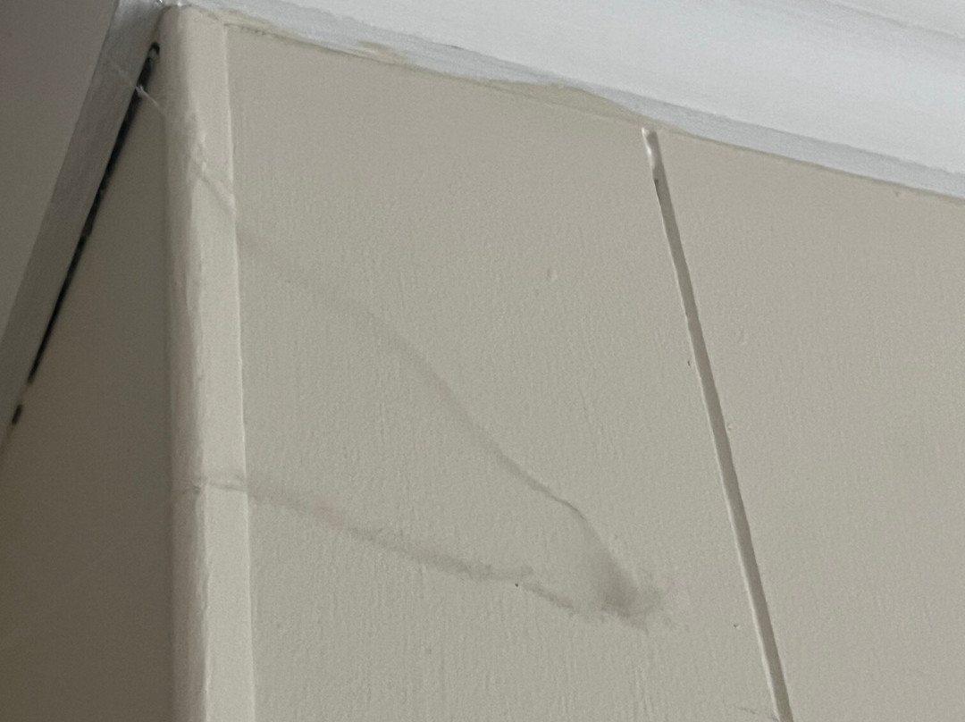 奥托罗昂格及怀托莫汽车旅馆主图