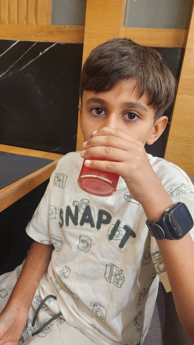 乌代布尔中心雷金塔酒店-官方