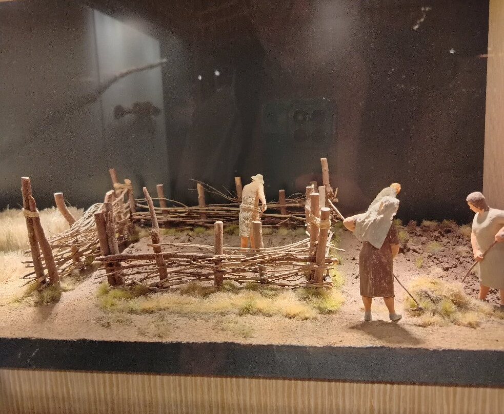 Museo delle Palafitte di Fiavé-Fiave必去景点