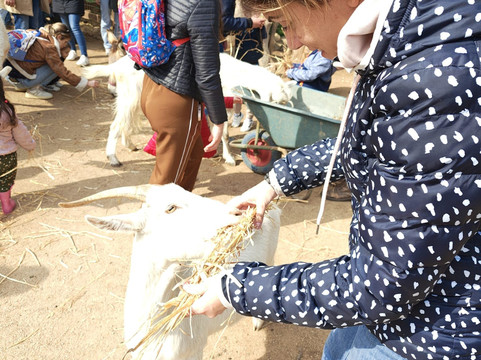 Rifugio Domo Mea-Olmedo必去景点