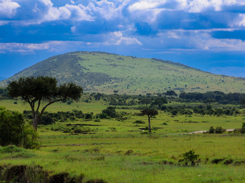 Maasai Mara National Reserve-纳罗克必去景点