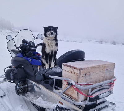 Auron Motoneiges-Auron必去景点