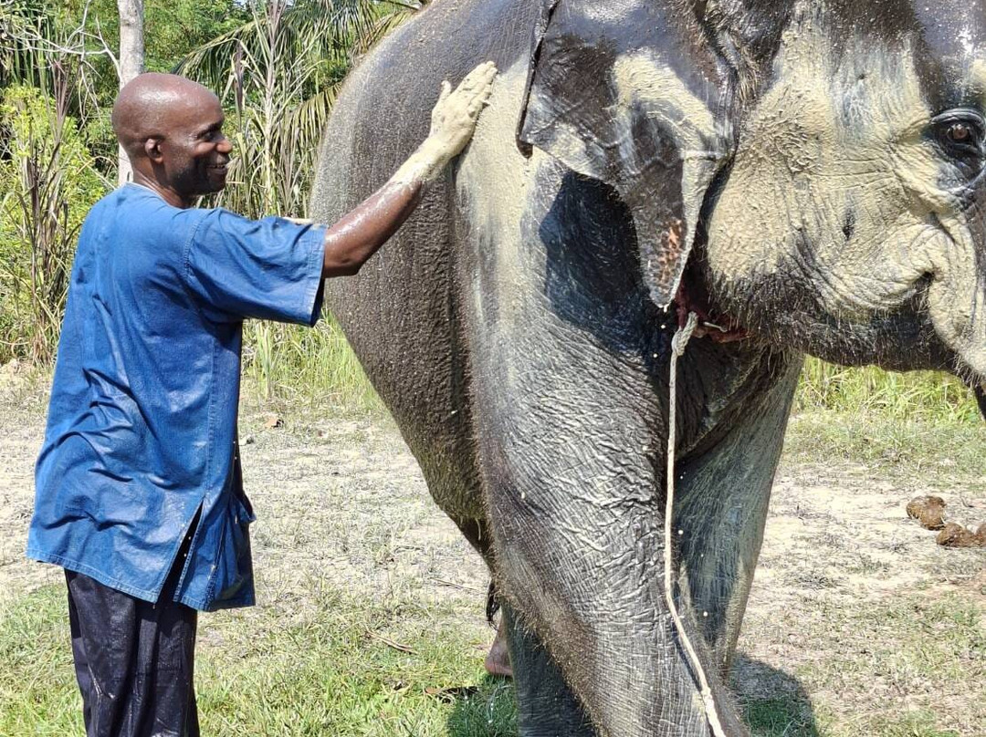 Trunk & Soul Elephant Home-班巴克洛必去景点