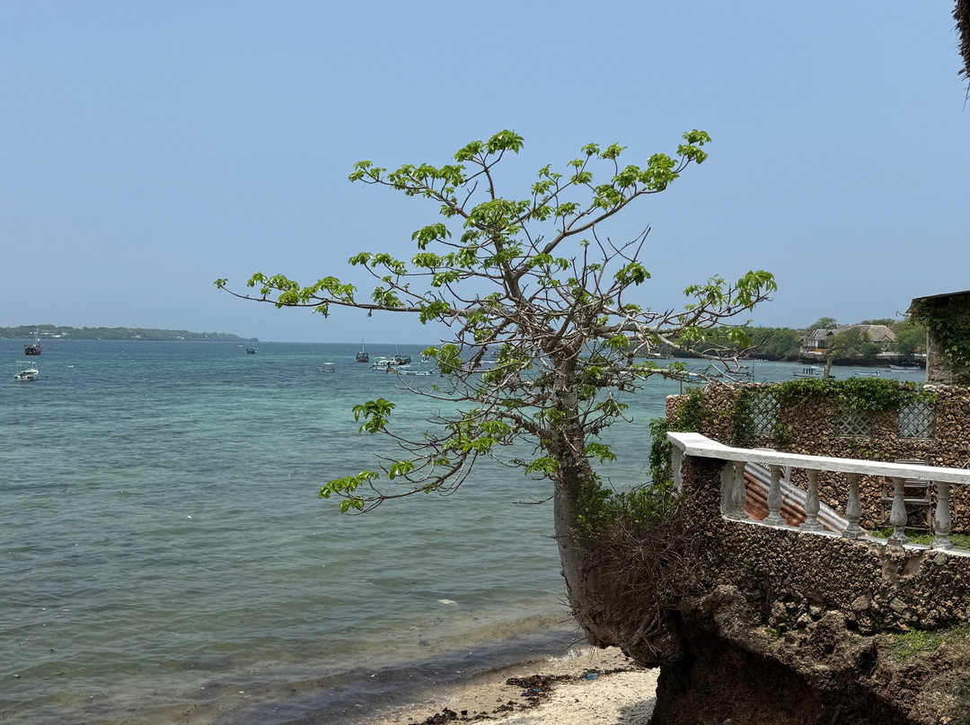 Southern Shores Safaris